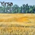 Brenda Hermundstad Yirsa - Harvest Patterns - Oil Painting