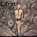 Ione Citrin -  - Mixed Media