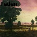 John Peden -  - Paintings