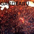 NELU NELUG GARDEANU - poppys 3 - Paintings