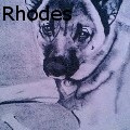 Telah Jean Rhodes - Walter - Drawings